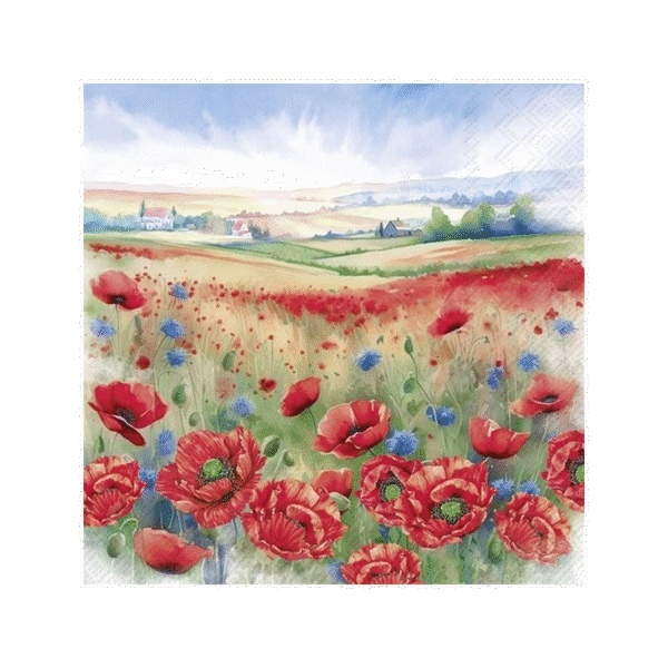Salvrätikud Summer Vibes 33x33cm