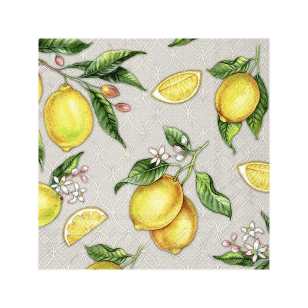 Salvrätikud Citrons 33x33cm